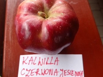 Szkolenie sadownicze w Plichtowie 22.09.2021r. fot. KR.Sosnowska, 